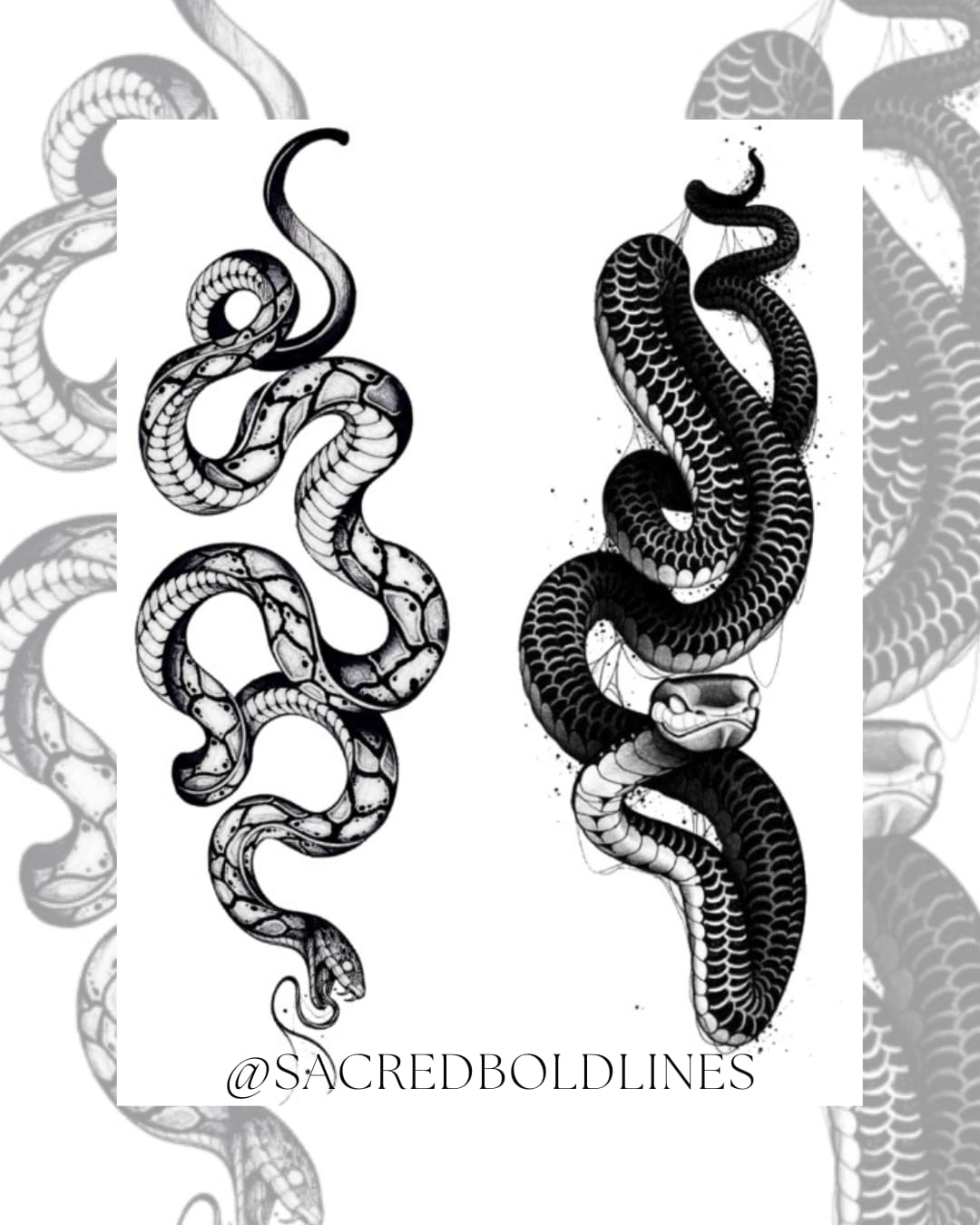 Snakes Tattoo Designs