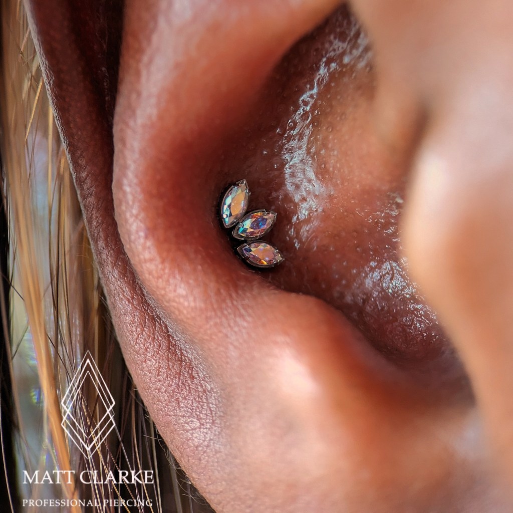 Conch piercing with an Anatometal Marquise Fan